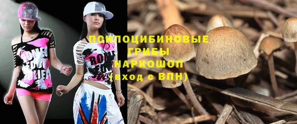 прущие крисы Няндома