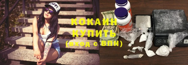 прущие крисы Няндома