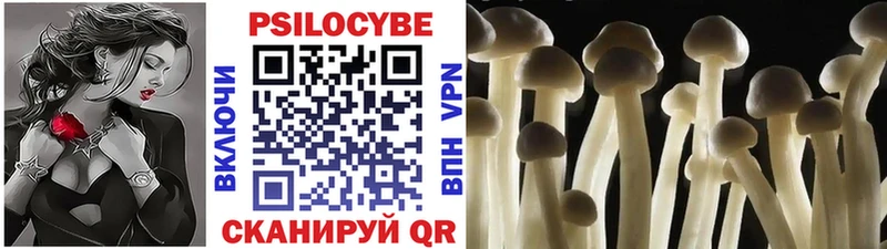 Псилоцибиновые грибы прущие грибы  Агрыз 